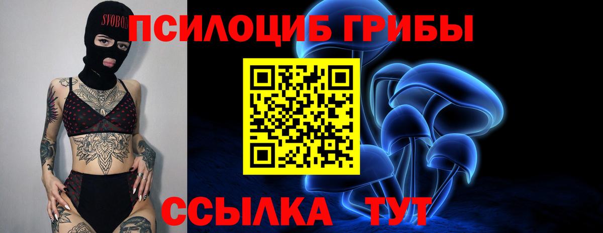 Псилоцибиновые грибы GOLDEN TEACHER Мурино