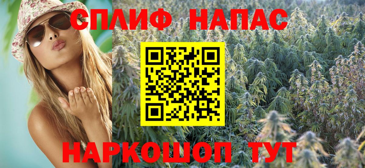 Мурино  Бошки Шишки индика  Вход с VPN  Бошки марихуана Bruce Banner  Бошки Шишки план 